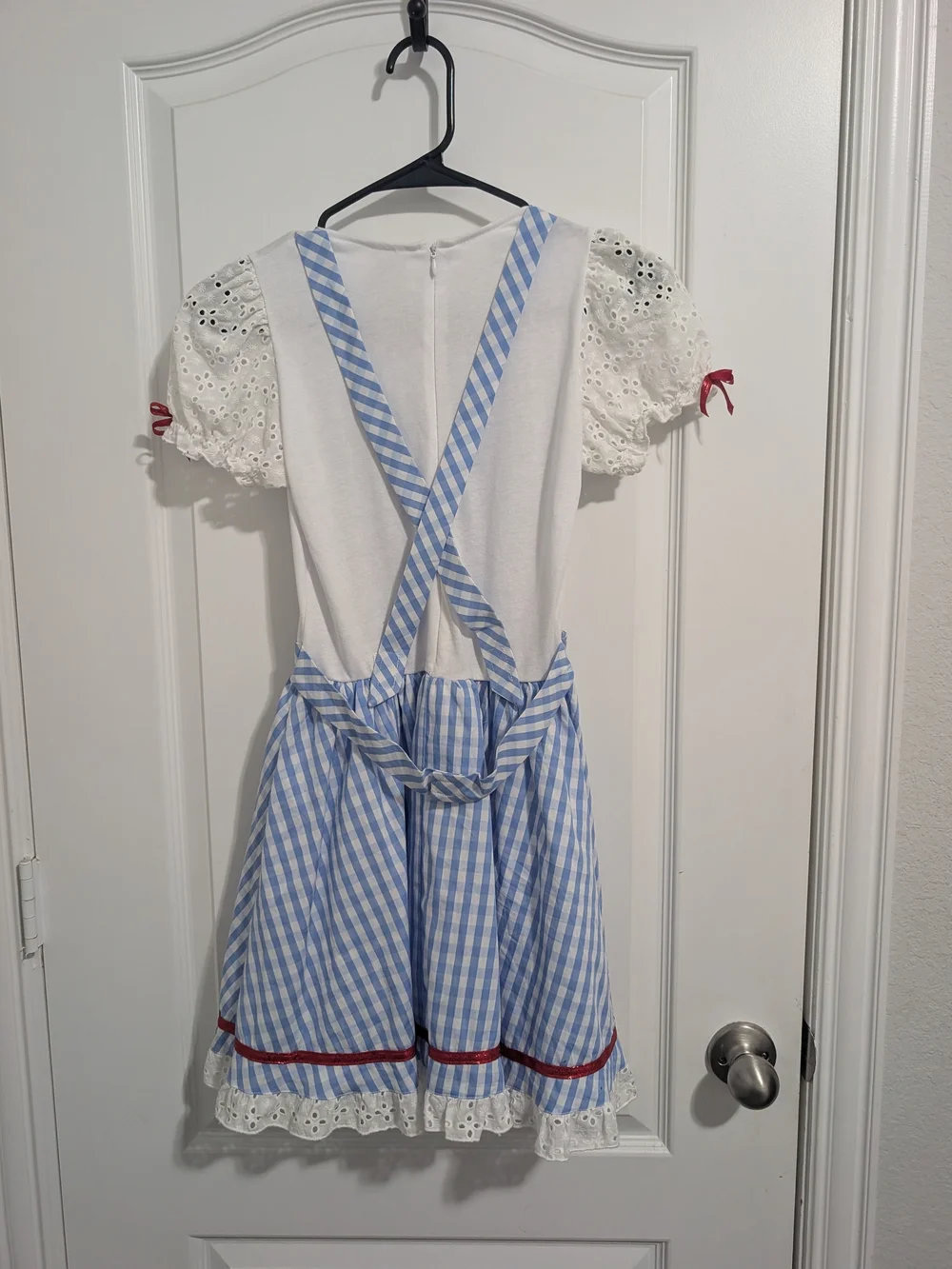 Blue Gingham Dorothy Kids Halloween Costume with Red Accents